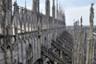 Visita guiada de la Catedral de Milán y sus terrazas –Boleto con acceso preferente